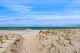Coastal dog friendly condo with observation deck best Gulf sunset views