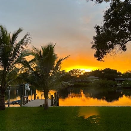 Sunset over the water with palm trees at a Largo property