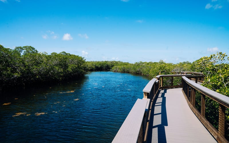 Boardwalk over mangrove waterway at Fort De Soto Park