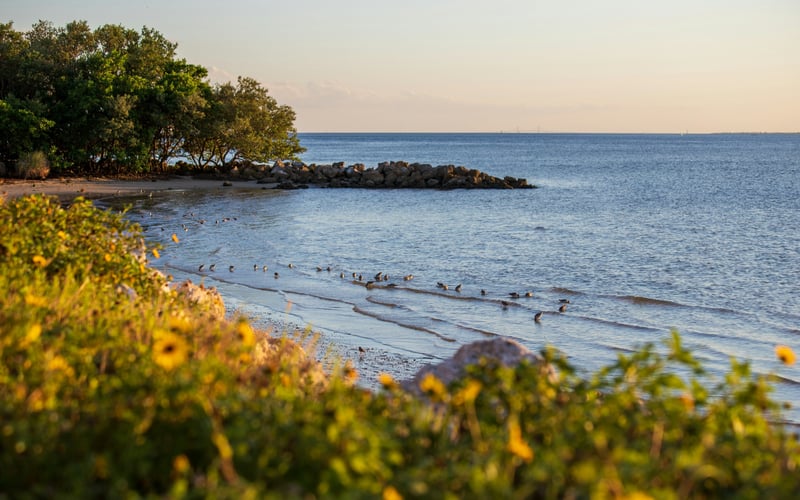 Picnic Island Park beach on Tampa Bay at sunset